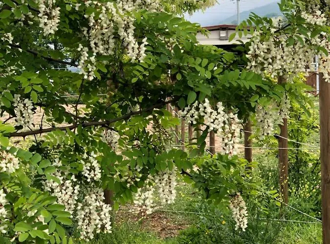 Residenza San Bartolomeo Foligno